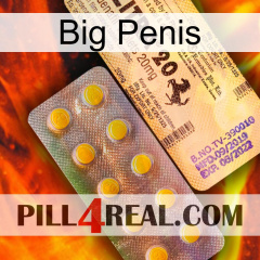 Big Penis new06